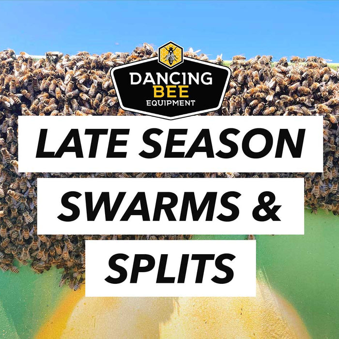 Late Season Swarms & Splits
