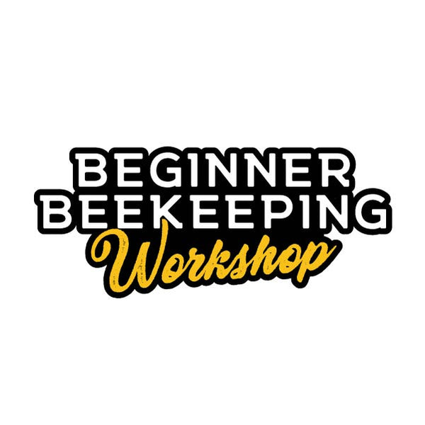 Beginner Beekeeping Workshops