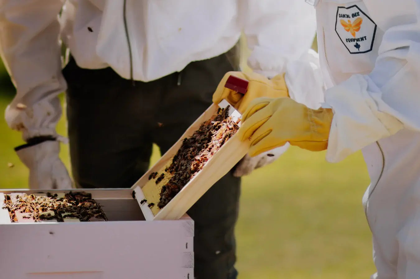 Honey production (bees)