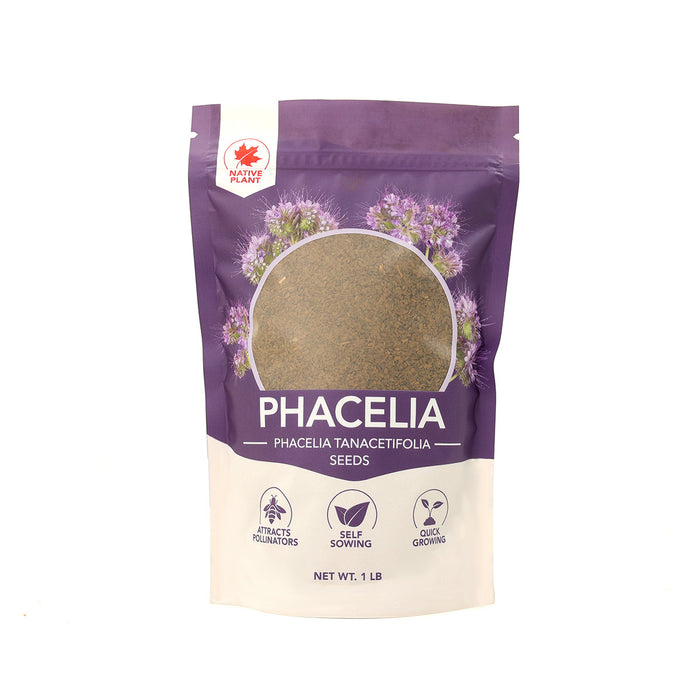 Phacelia Seeds