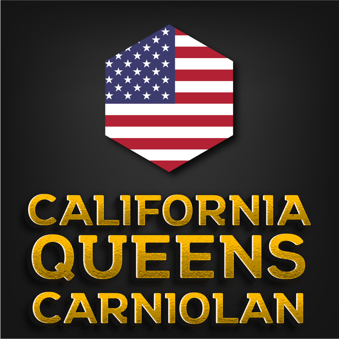 California Imported Queen | Olivarez 2025 | Carniolan