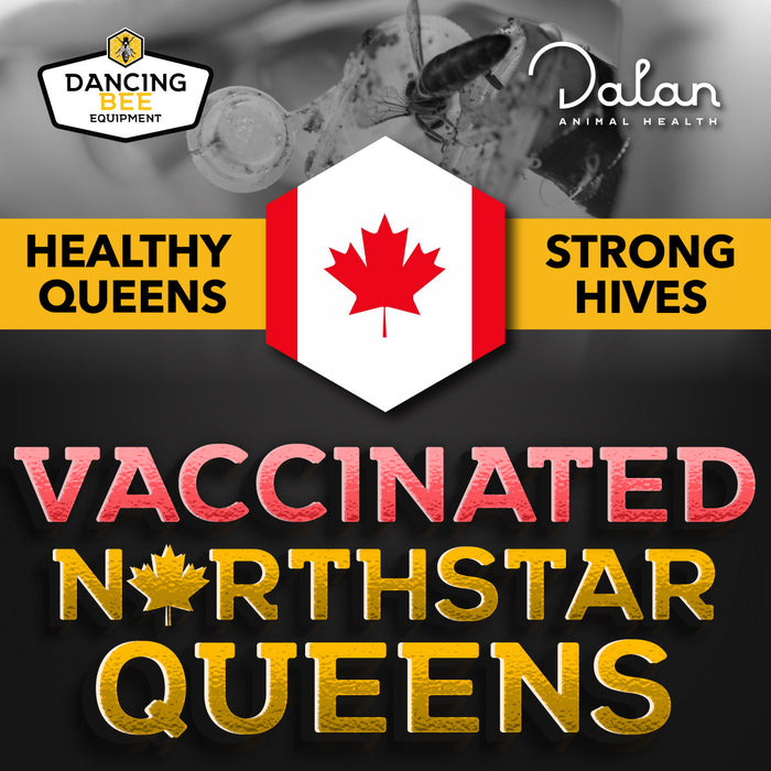2025 North Star Vaccinated Queen