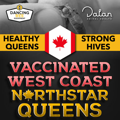 Queen Bees in Canada