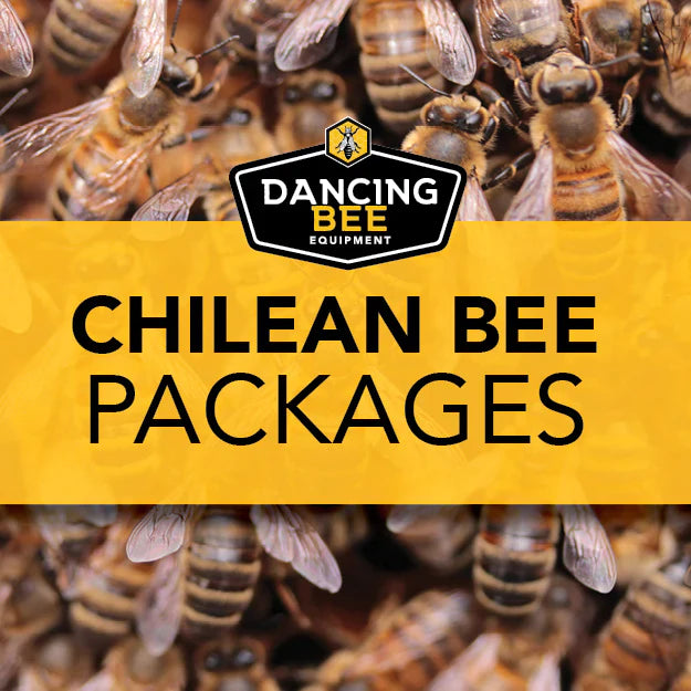 Chilean Bee Packages | 2024