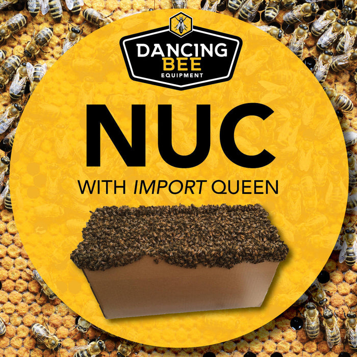 Honey Bee Nuc with Import Queen