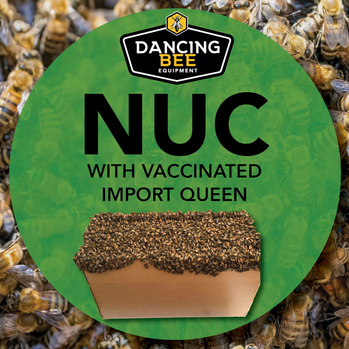 Dancing Bee AFB Vaccinated Nuc | Pick up date: Friday June 7th, 2024