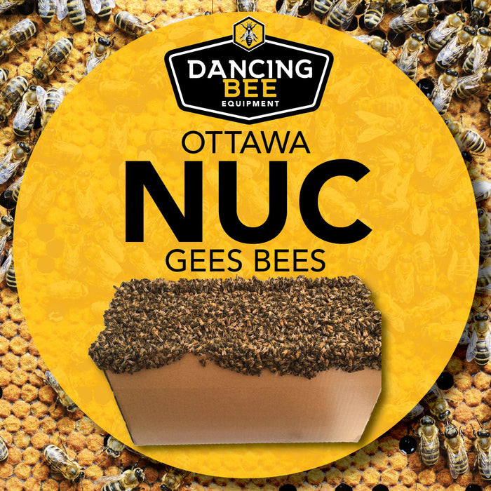 Dancing Bee Nuc | OTTAWA | Pick up date: Saturday, May 25th, 2024