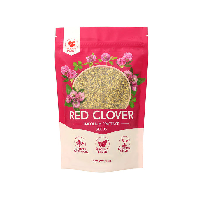 Red Clover Seeds