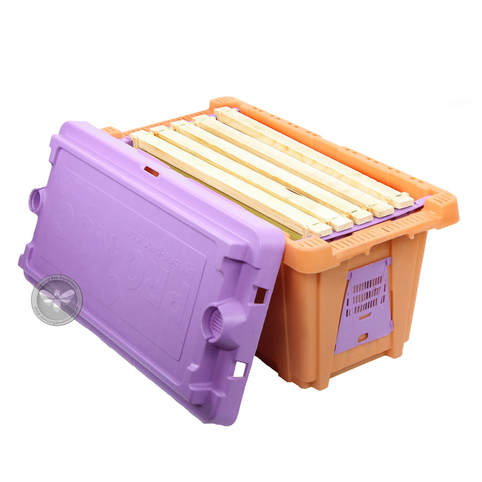Pro Nuc | 5 Frame Plastic Nuc Box