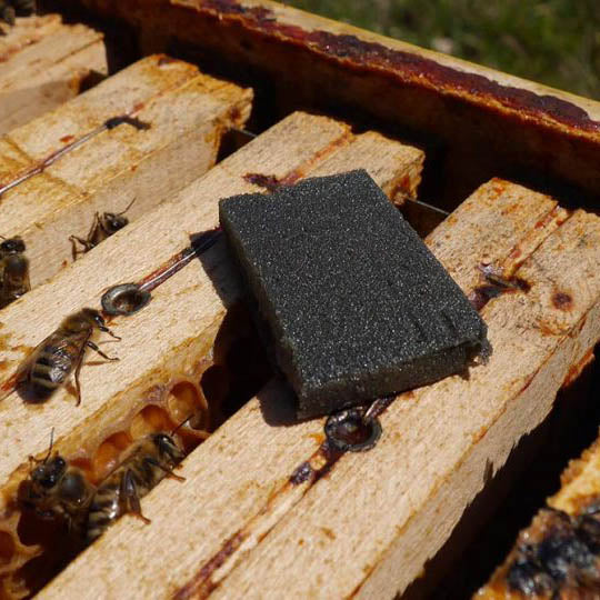 Api Life Var | Varroa Mite Control