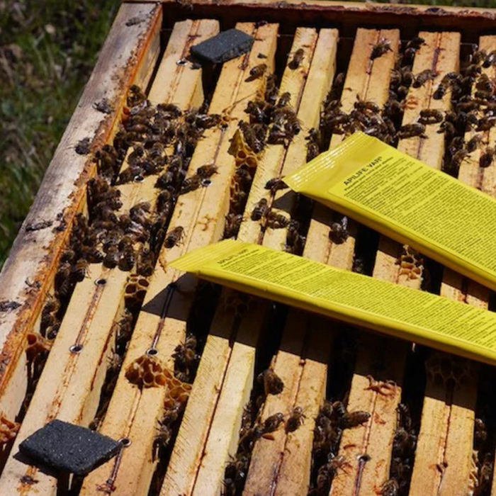 Api Life Var | Varroa Mite Control