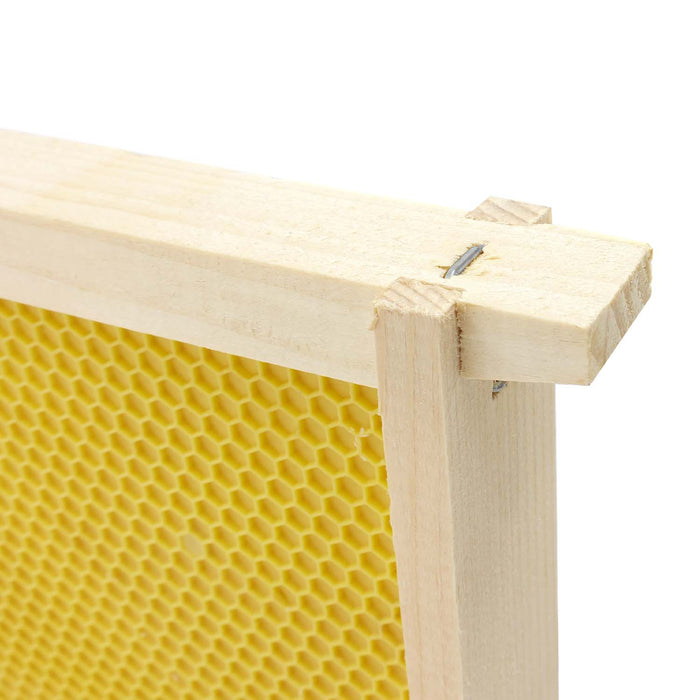 Dancing Bee | Assembled Frames with Puracell Foundation | Deep