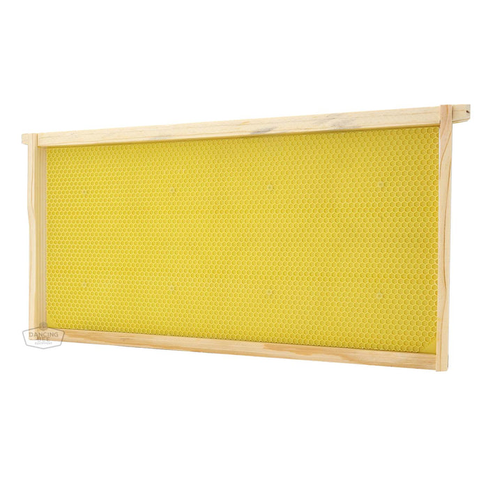 Dancing Bee | Assembled Frames with Puracell Foundation | Deep