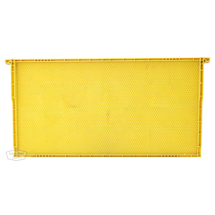 Full Plastic Frame | Deep Yellow