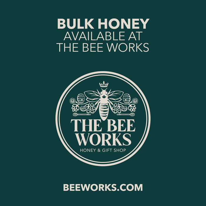 Bulk Golden Honey | 5 Gallon Pail