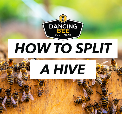 Splitting a Hive