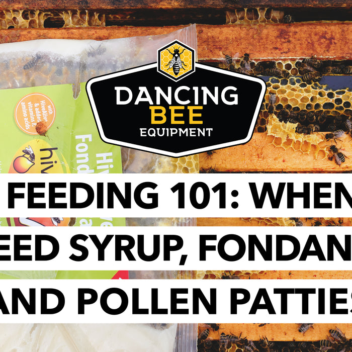 Bee Feeding 101: When to Feed Syrup, Fondant, and Pollen Patties