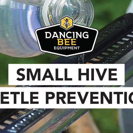 Small Hive Beetle Prevention 🐝