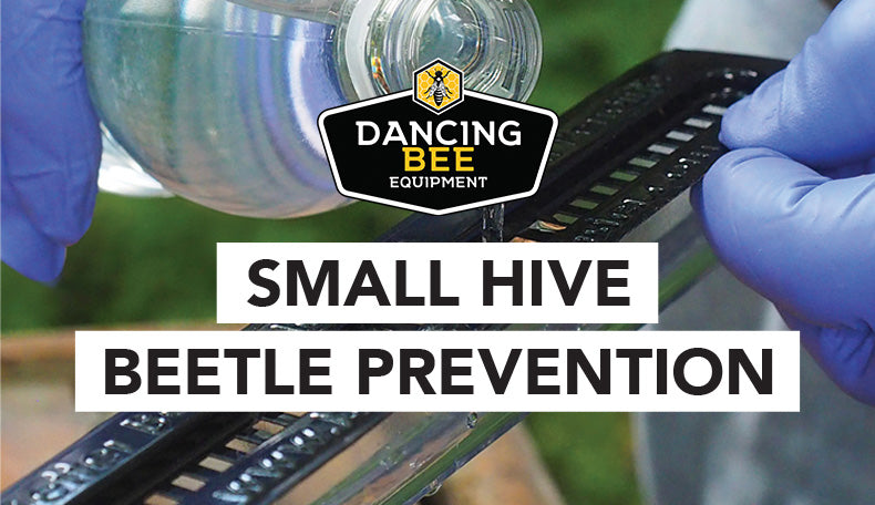 Small Hive Beetle Prevention 🐝