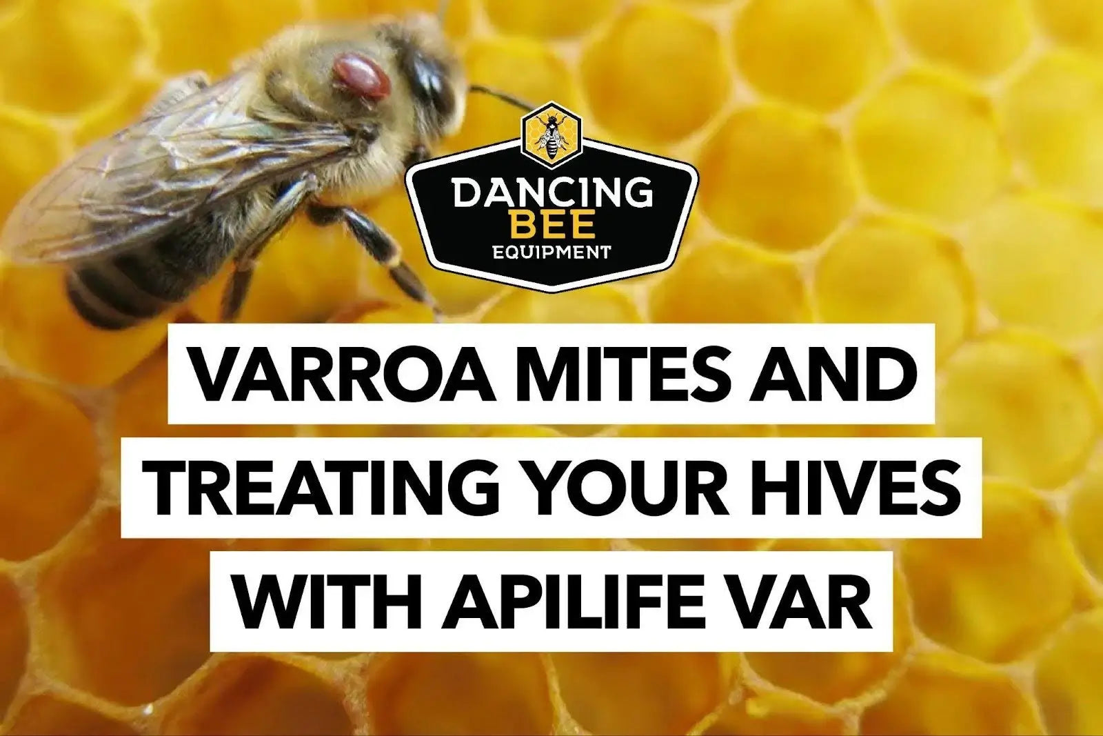 Varroa mite treatment