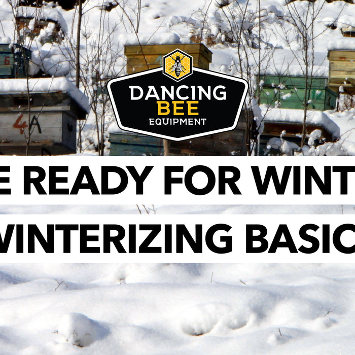 Bee Ready for Winter: Winterizing Basics