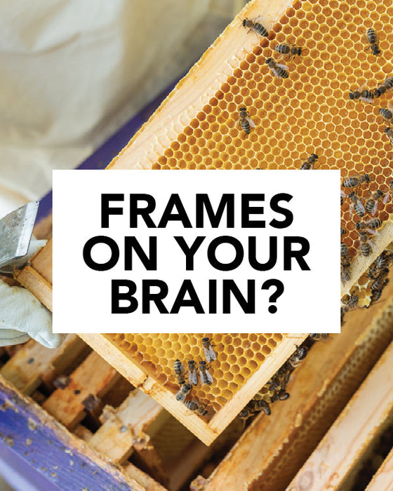 The Real Sign Spring Is Coming