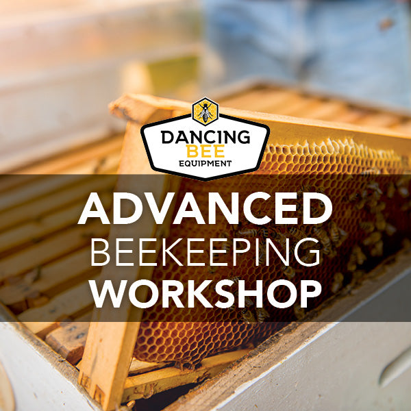Advanced Beekeeping Workshops