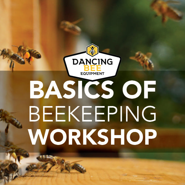 Basics of Beekeeping Workshop | Saturday, March 23rd, 2024, 9:30am