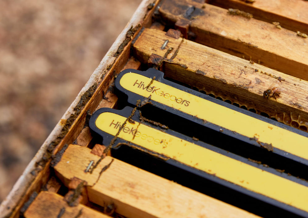 Frame with 8 Cassettes for Micro Honey Harvester | HiveKeepers - PRE-ORDER