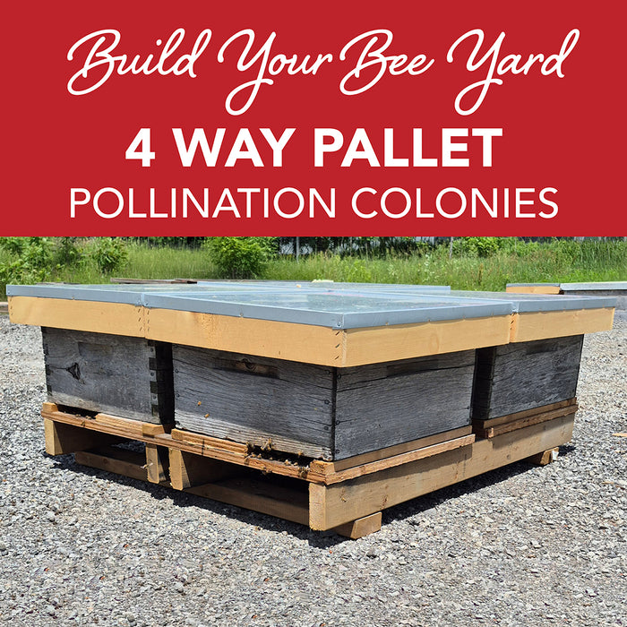 Pollination Four HIve Bundle | Pick up date: Saturday, July 18th, 2026