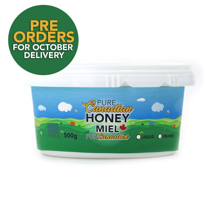 Pure Canadian Honey Tub | Plastic | 500 g