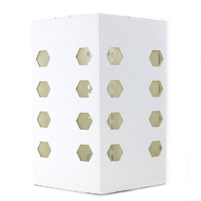Safe Way | Queen Shipping Box