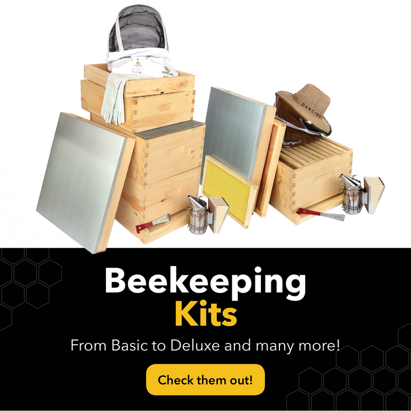 Beekeeping Kits