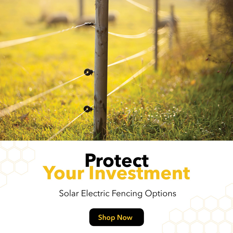 Protect your investments