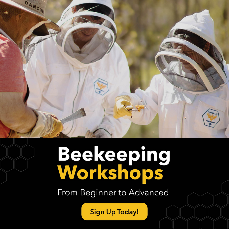 Beekeeping workshops