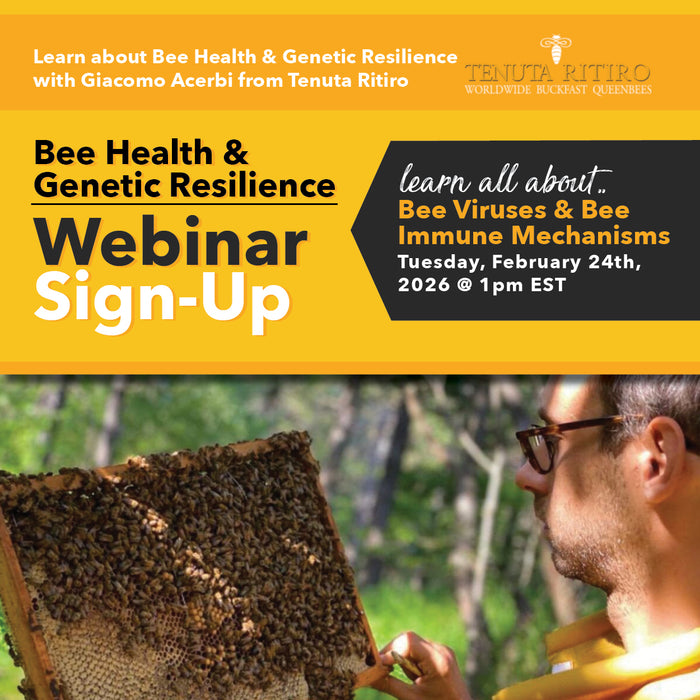 Webinar | Bee Viruses & Bee Immune Mechanisms | February 24th, 2026