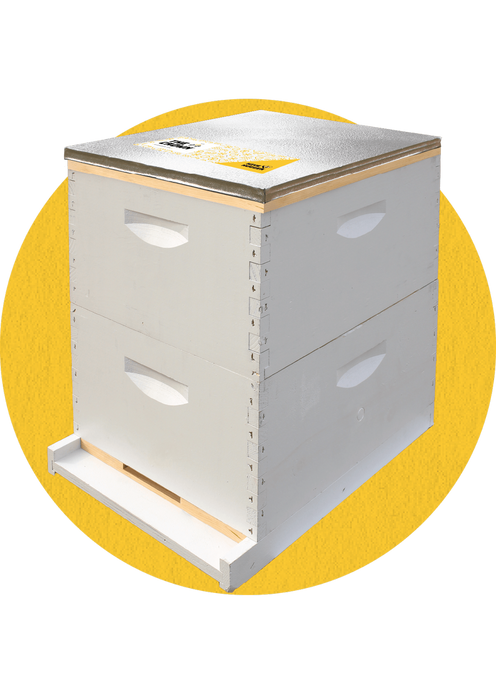 Hive Hugger Condensing Hive | Crown Only