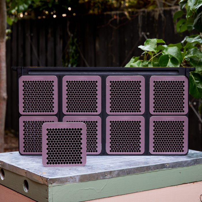 Frame with 8 Cassettes for Micro Honey Harvester | HiveKeepers - PRE-ORDER