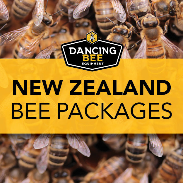 New Zealand Packages | 2025