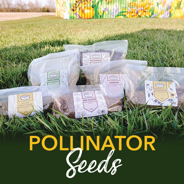 Pollinator Mix Seed | Dancing Bee Equipment