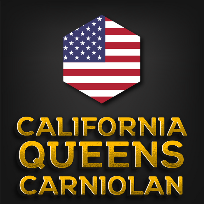 California Imported Queen | Olivarez 2024 | Carniolan