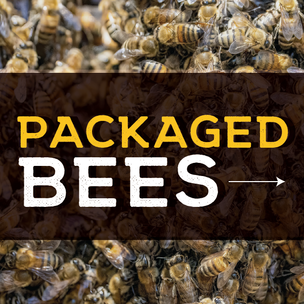 Bee Packages