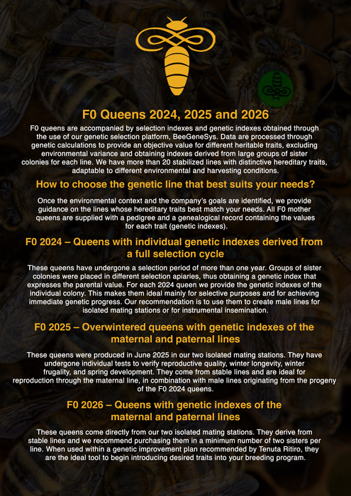 Buckfast Imported Queen | Italy 2026 | Tenuta Ritiro