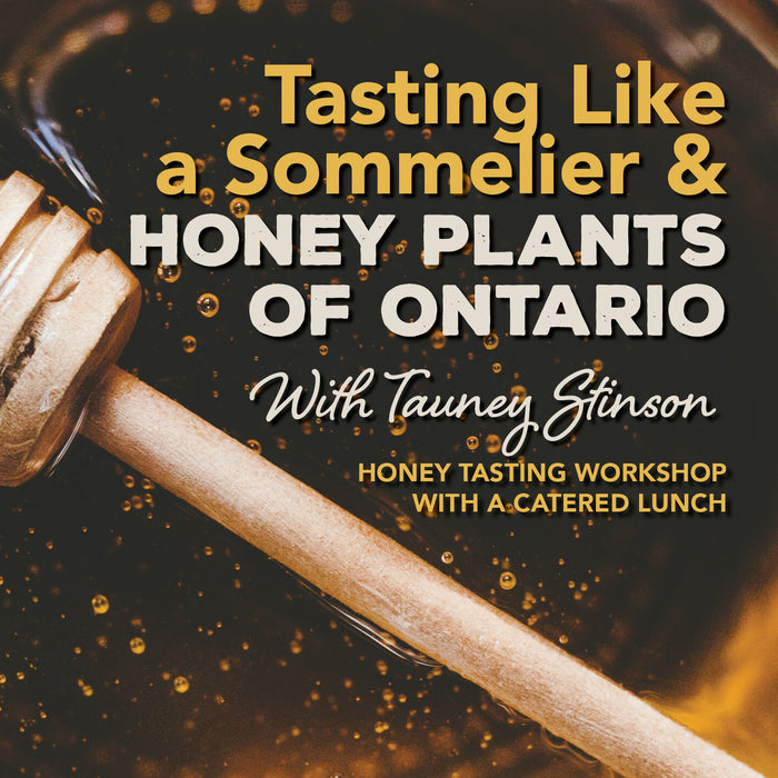 Tasting Like a Sommelier & Honey Plants of Ontario | Honey Tasting Workshop