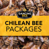 Chilean Bee Packages 2024