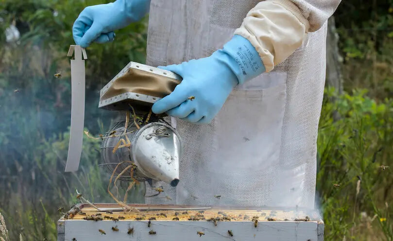 Apivar 2.0 | Varroa Mite Control