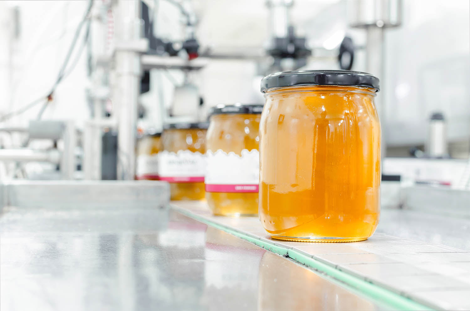 Wholesale Honey