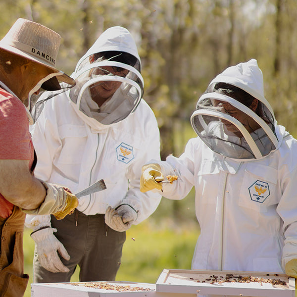 Dancing Bee Equipment | Cotton Beekeeping Jacket