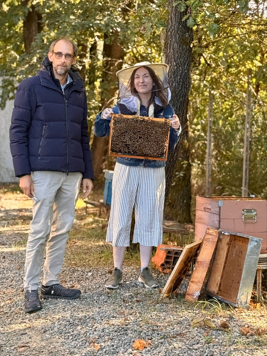 Webinar | Bee Viruses & Bee Immune Mechanisms | February 24th, 2026