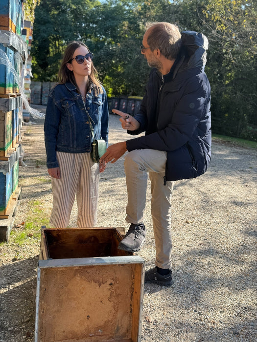 Webinar | Bee Viruses & Bee Immune Mechanisms | February 24th, 2026